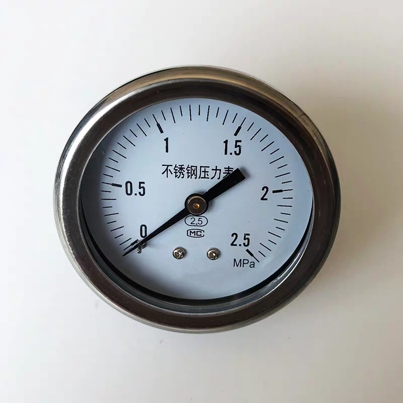 All Stainless Steel Back Connection Pressure Gauge
