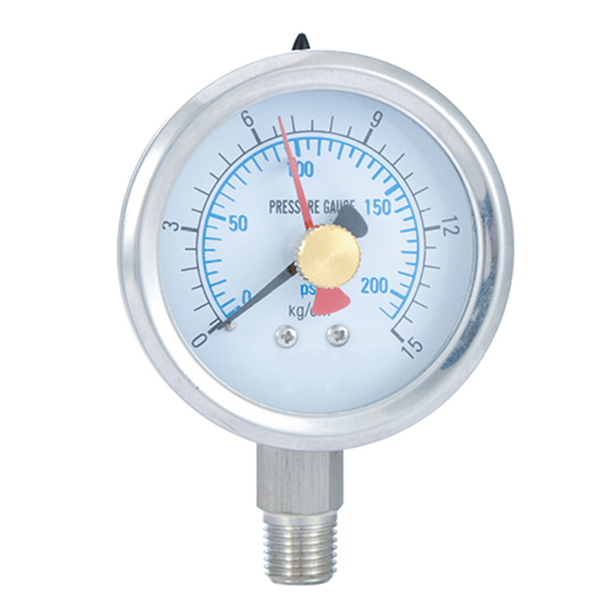 Double Needle Pressure Gauge