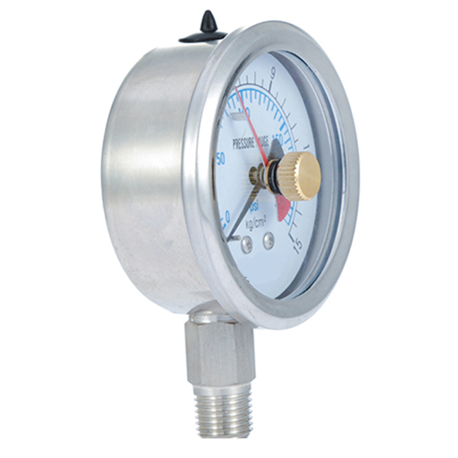 Double Needle Pressure Gauge