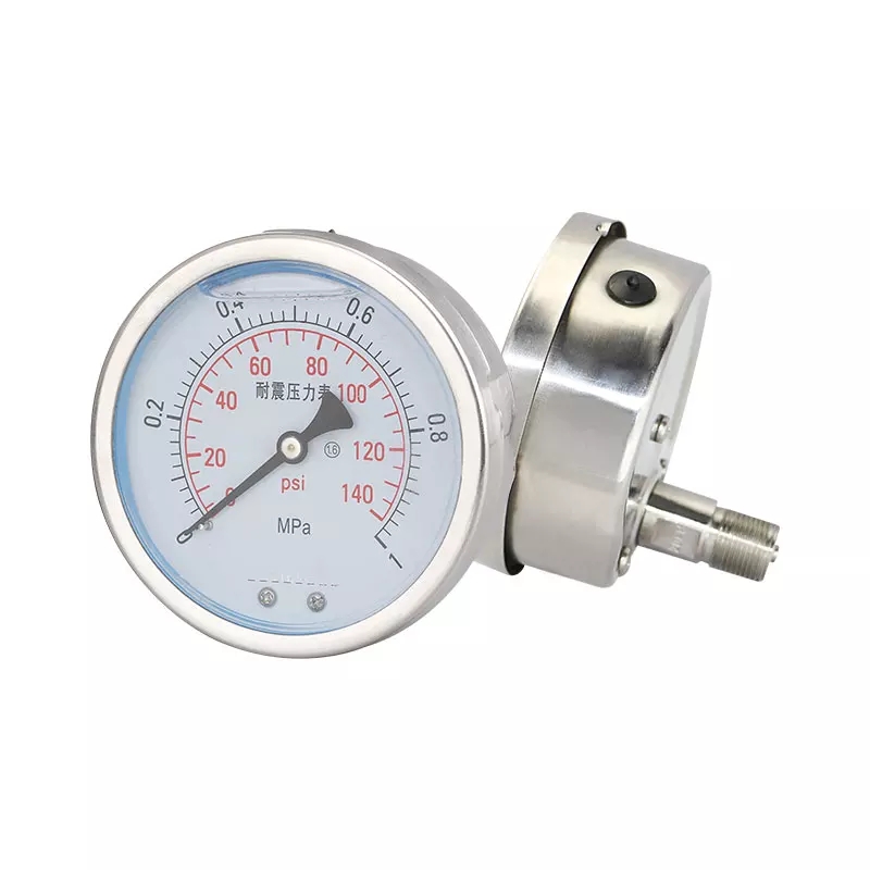 Pressure Gauge With Back Connection