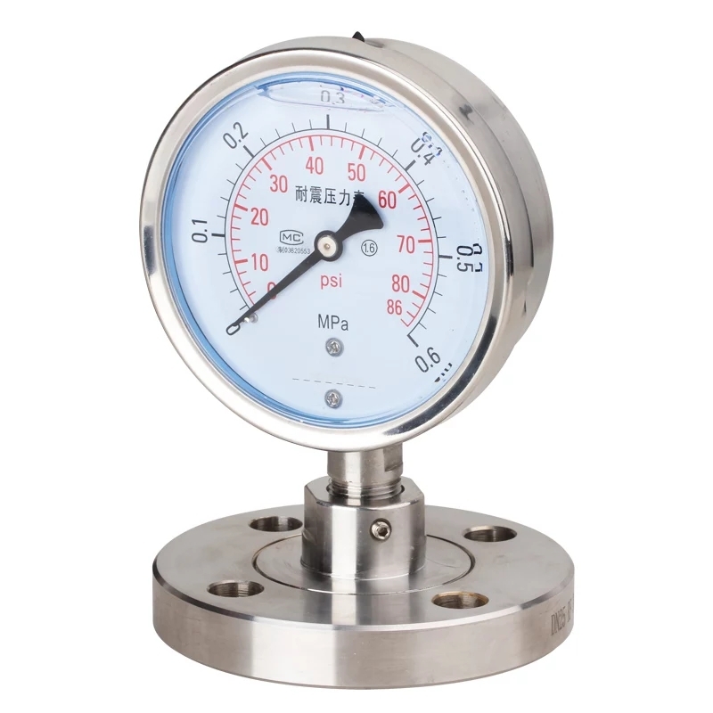 Flange Mounted Diaphragm Seal Pressure Gauge