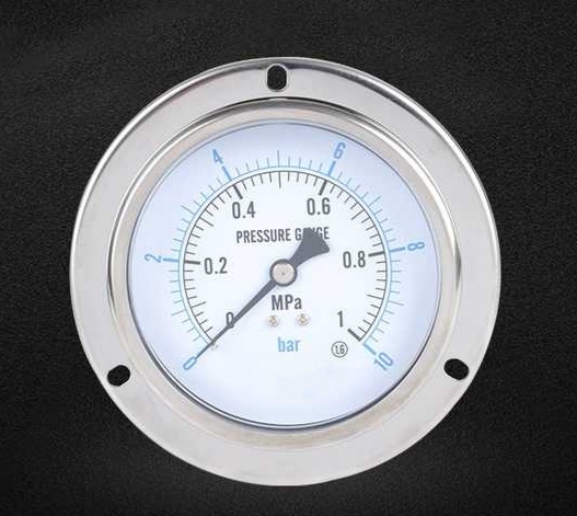 All SS Back Flange Pressure Gauge