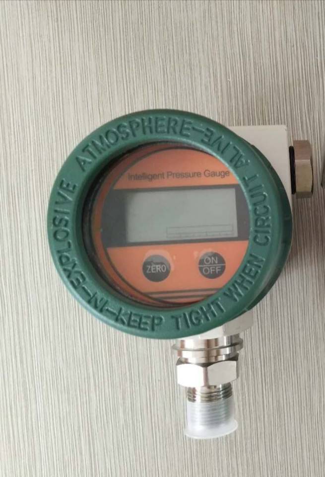 Ex-proof Digital Pressure Gauge
