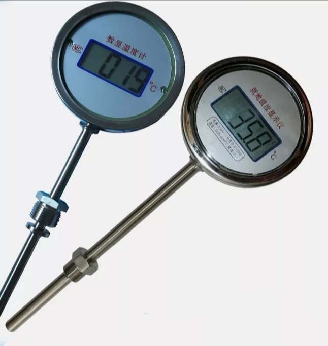 Digital Thermometer
