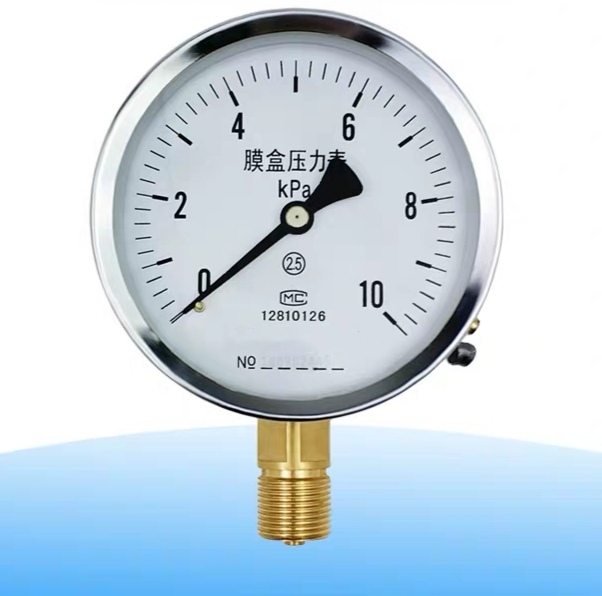 Stainless Steel Capsule Pressure Gauge