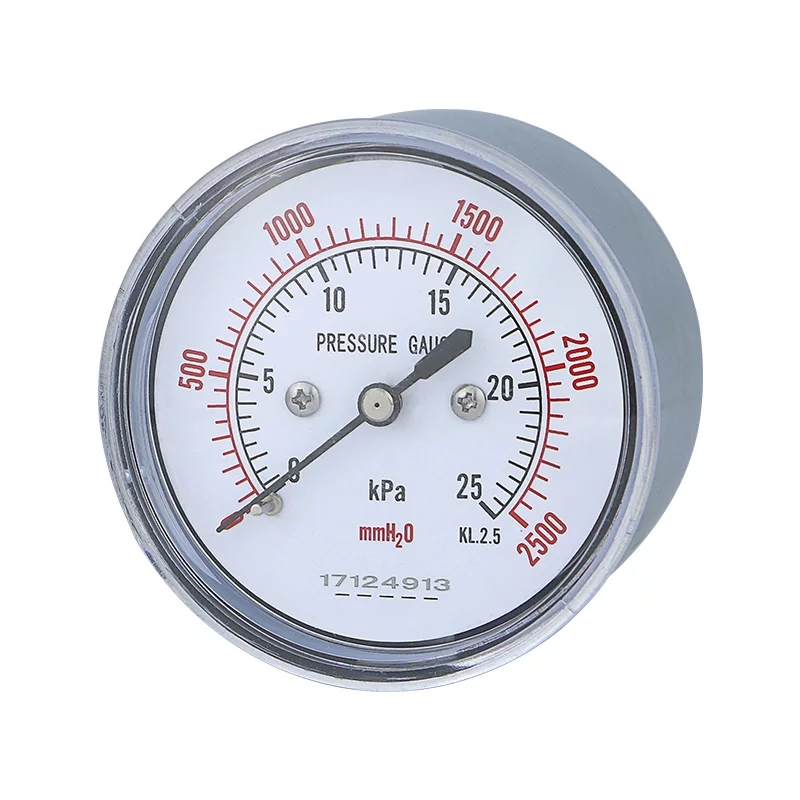 Back Connected Low Pressure Capsule Gauge