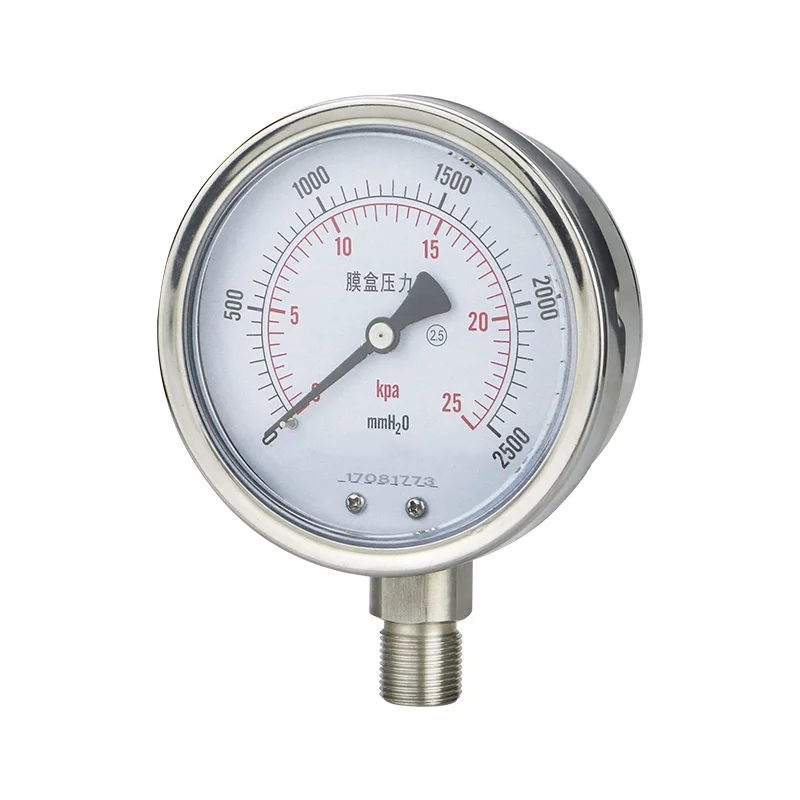 All Stainless Steel Low Pressure Capsule Gauge